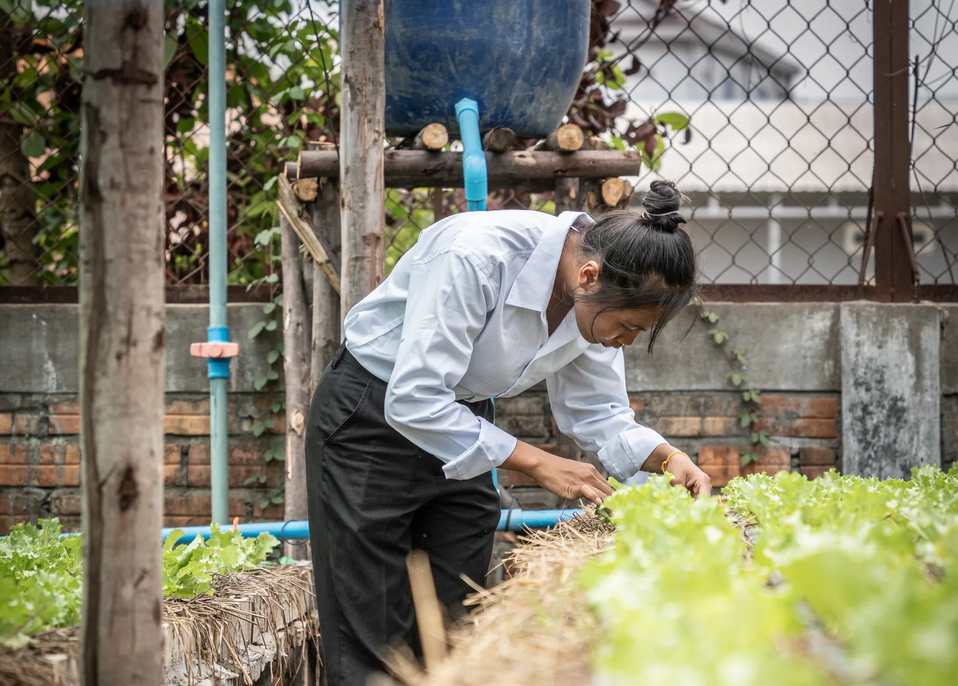 alumni Bayon Education & Development