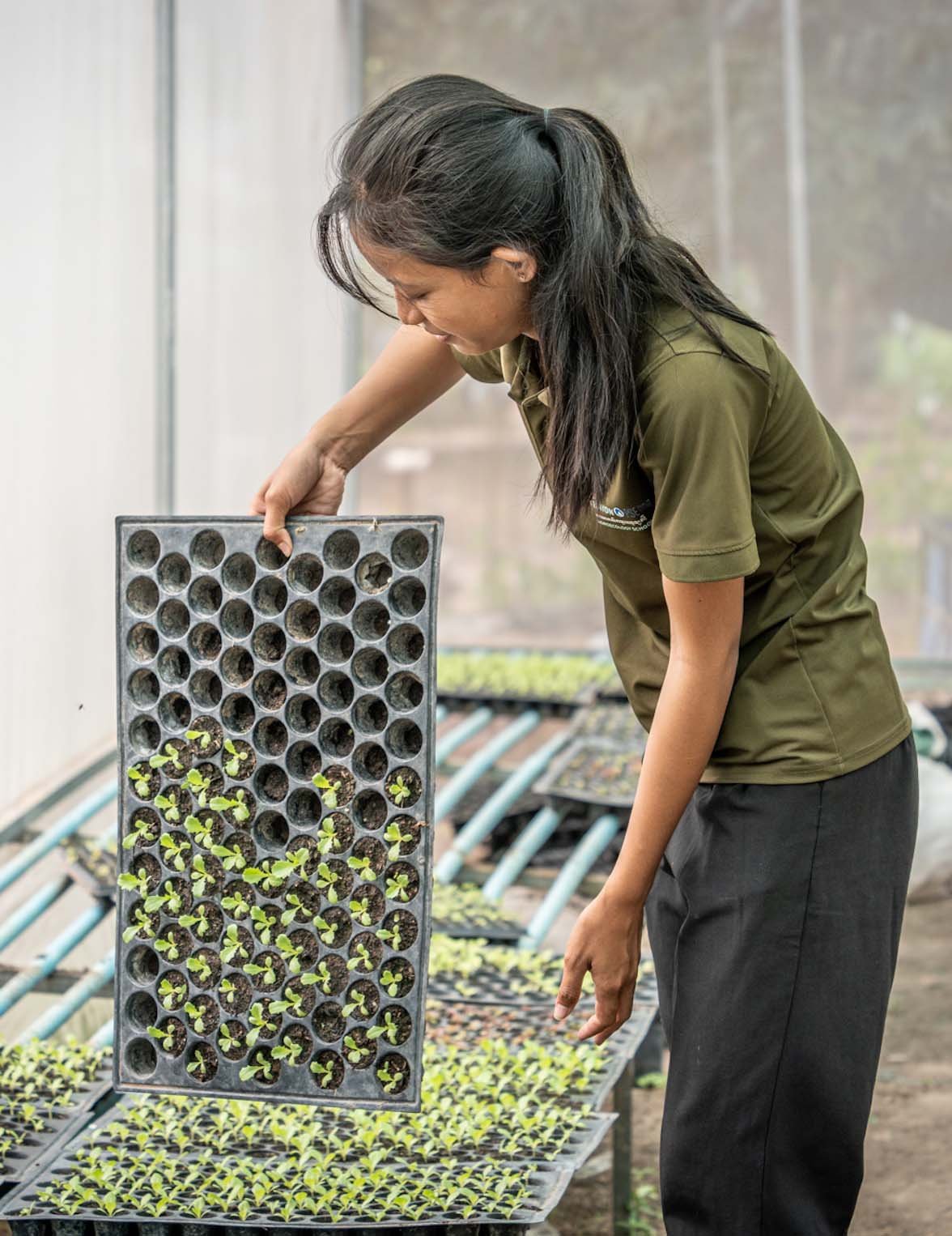 Vocational training in agroecology