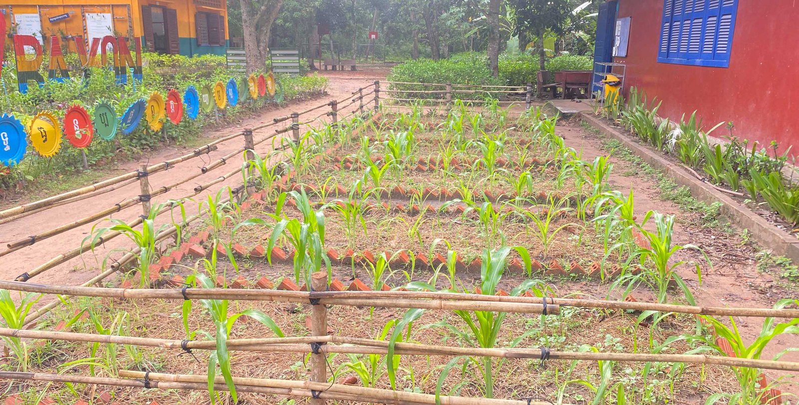 Green Garden